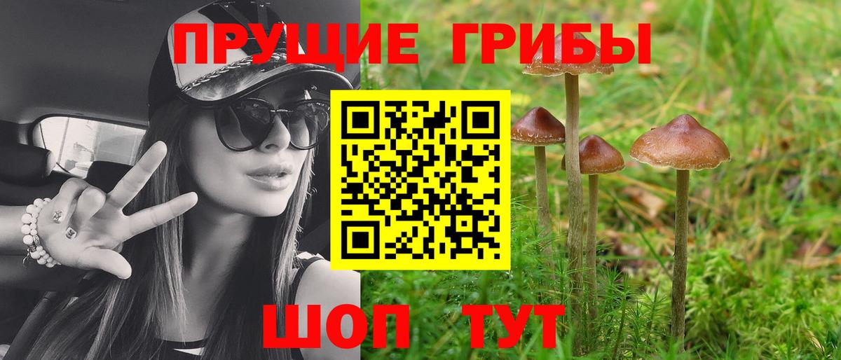 Галлюциногенные грибы ЛСД  Псилоцибиновые грибы ЛСД  Саранск  Вход с VPN 